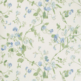 Sweet Pea Blue by Cole & Son Designer Wallcovering