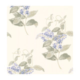 Madras Violet Violet & Grey by Cole & Son Designer Wallcovering COLE & SON ARCHIVE ANTHOLOGY PAPER - 100% United Kingdom - Horizontal: - and Vertical: 21 20.5 - Swanky Fabrics -