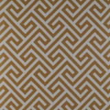 Trevi Ocre by Gaston Y Daniela Designer Fabric