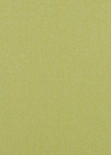 Carnival Plain Lime by Baker Lifestyle Designer Fabric