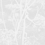 Cow Parsley White by Cole & Son Designer Wallcovering COLE & SON ICONS PAPER - 100% United Kingdom - Horizontal: - and Vertical: 30 21 - Swanky Fabrics -