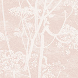 Cow Parsley Plaster Pink by Cole & Son Designer Wallcovering