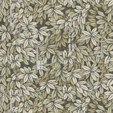 Chiavi Segrete Gilver & Gold by Cole & Son Designer Wallcovering