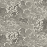 Nuvolette Gilver & Charcoal by Cole & Son Designer Wallcovering