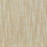 Uganda Arena by Gaston Y Daniela Designer Fabric