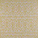 Cervantes Amarillo by Gaston Y Daniela Designer Fabric MADRID VISCOSE - 46%;POLYESTER - 31%;COTTON - 18%;LINEN - 5% Turkey HEAVY Horizontal: 3.4 and Vertical: 4.5 55 - Swanky Fabrics -