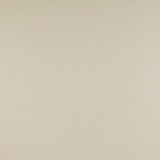 Alcala Crudo by Gaston Y Daniela Designer Fabric