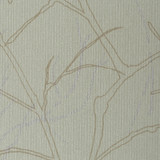 Sycamore Wetland by Winfield Thybony Designer Wallcovering