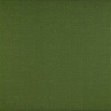 Recoletos Verde by Gaston Y Daniela Designer Fabric