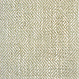 Enea Verde Claro by Gaston Y Daniela Designer Fabric GASTON LIBRERIA VISCOSE - 52%;COTTON - 23%;LINEN - 14%;POLYESTER - 11% Belgium HEAVY Horizontal: 0.91 and Vertical: 1.1 54 - Swanky Fabrics -
