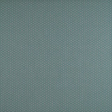 Chueca Turquesa by Gaston Y Daniela Designer Fabric