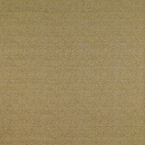 Santa Ana Lima by Gaston Y Daniela Designer Fabric