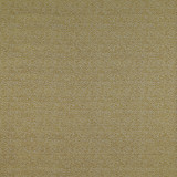 Santa Ana Lima by Gaston Y Daniela Designer Fabric MADRID POLYESTER - 43%;VISCOSE - 30%;COTTON - 27% Turkey HEAVY Horizontal: 13.8 and Vertical: 6.2 55 - Swanky Fabrics -