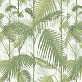 Palm Jungle Olv Grn On Wht by Cole & Son Designer Fabric