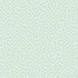 Coral Duck Egg by Cole & Son Designer Wallcovering