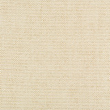 35132-116 by Kravet Contract Designer Fabric INCASE CRYPTON GIS RAYON - 78%;COTTON - 21%;NYLON - 1% United States HEAVY Horizontal: 0 and Vertical: 0 57 - Swanky Fabrics -