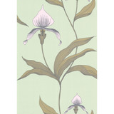 Orchid Pale Gr by Cole & Son Designer Wallcovering COLE & SON NEW CONTEMPORARY PAPER - 100% United Kingdom Horizontal: 0 and Vertical: 28.5 20.5 - Swanky Fabrics -