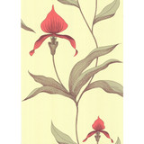 Orchid Lime/Or by Cole & Son Designer Wallcovering COLE & SON NEW CONTEMPORARY PAPER - 100% United Kingdom Horizontal: 0 and Vertical: 28.5 20.5 - Swanky Fabrics -