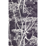 Cow Parsley White/Blk by Cole & Son Designer Wallcovering COLE & SON NEW CONTEMPORARY PAPER - 100% United Kingdom Horizontal: 21 and Vertical: 30 21 - Swanky Fabrics -