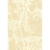 Cow Parsley White/Bge by Cole & Son Designer Wallcovering COLE & SON NEW CONTEMPORARY PAPER - 100% United Kingdom Horizontal: 0 and Vertical: 28.5 21 - Swanky Fabrics -