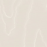 Watered Silk Pearl by Cole & Son Designer Wallcovering