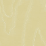 Watered Silk Lemon by Cole & Son Designer Wallcovering