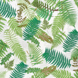 Fernarium Green & Ivory 177590 by Schumacher Designer Fabric CLEMENTS RIBEIRO See Sample UNITED KINGDOM - </p><p>Repeat: Horizontal: 54" (137CM) and Vertical: 94" (239CM) 56" (142CM) - Swanky Fabrics -