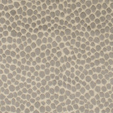 Adaria 1 Sandstone by Stout Designer Fabric RAINBOW LIBRARY TOAST/DRIFTWOOD 100%POL INDIA </p><p>Repeat: 2.5 54 in - Swanky Fabrics -