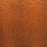 Trifecta 20 Spice by Marcus William Designer Fabric MARCUS WILLIAM ALLEGRA 100%POL ITALY WYZENBEEK 50 000 DOUBLE RUB WEAR TEST (HEAVY DUTY) </p><p>Repeat: 3.5 55 in - Swanky Fabrics -