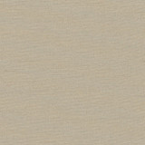 Succulent Birch by Carole Designer Fabric Succulent,Succulent II 100% POLYESTER INDIA N/A </p><p>Repeat: NONE 54" - Swanky Fabrics -