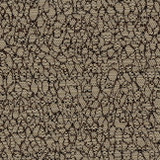 Time Crunch Stone by Carole Designer Fabric Hot Second 100% POLYESTER MEXICO Passes 9,000 Double Rubs Wyzenbeek </p><p>Repeat: NONE 54" - Swanky Fabrics -
