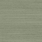 Discreet Silver Sage by Carole Designer Fabric Distinct Drapery,Delight 100% POLYESTER INDIA Passes 20,000 Double Rubs Wyzenbeek </p><p>Repeat: NONE 55" - Swanky Fabrics - Discreet Silver Sage by Carole Designer Fabric Distinct Drapery,Delight 100% POLYESTER INDIA Passes 20,000 Double Rubs Wyzenbeek </p><p>Repeat: NONE 55" - Swanky Fabrics -