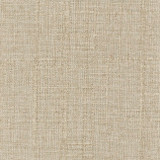 Plush Textures Sand by Carole Designer Fabric Touchable 98% Polyester, 2% Nylon China N/A </p><p>Repeat: NONE 55" - Swanky Fabrics -