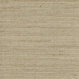 Dacosta Taupe by Carole Designer Fabric Ambassadors 100% Polyester India N/A </p><p>Repeat: NONE 56" - Swanky Fabrics -