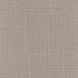 Narration Birch by Carole Designer Fabric NARRATOR 100% Polyester Mexico Passes 30,000 Double Rubs Wyzenbeek </p><p>Repeat: None 54" - Swanky Fabrics -
