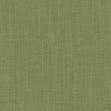 Liberty Green by Carole Designer Fabric Liberty 100% Polyester India Passes 50,000 Double Rubs Wyzenbeek </p><p>Repeat: None 54" - Swanky Fabrics -