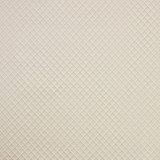 Contemplation Ivory by Carole Designer Fabric Silver Screen 100% Polyester China Passes 15,000 Double Rubs Wyzenbeek </p><p>Repeat: NONE 55" - Swanky Fabrics -