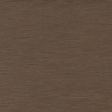 First Novel Driftwood by Carole Designer Fabric STATIONERY 72% Rayon, 28% Polyester China Passes 30,000 Double Rubs Wyzenbeek </p><p>Repeat: None 55" - Swanky Fabrics -