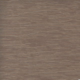 First Novel Mushroom by Carole Designer Fabric STATIONERY 72% Rayon, 28% Polyester China Passes 30,000 Double Rubs Wyzenbeek </p><p>Repeat: None 55" - Swanky Fabrics -