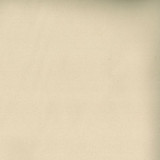 Toledo Sand 7516 by Norbar Designer Fabric See Sample 80 POLYESTER 15 COT 5 POLYURET 100,000 WYZENBEEK 55 - Swanky Fabrics -