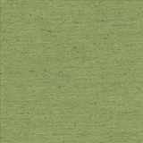 Adjoin Green by Kasmir Designer Fabric See sample 100% Polyester
 INDIA 5,000 Wyzenbeek Double Rubs </p><p>Repeat: Horizontal: N/A and Vertical: N/A 54 - Swanky Fabrics -