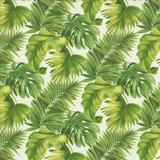Keanu Palm 55 Green by Kasmir Designer Fabric See sample 65% Polyester
35% Cotton
 SPAIN 40,000 Martindale Cycles </p><p>Repeat: Horizontal: 27 5/8 inches and Vertical: 24 4/8 inches 55 - Swanky Fabrics -