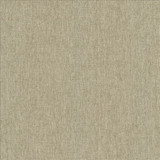 Mateo Seal by Kasmir Designer Fabric See sample 100% Polyester
 INDIA 55,000 Wyzenbeek Double Rubs </p><p>Repeat: Horizontal: N/A and Vertical: N/A 54 - Swanky Fabrics -