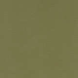 Alora Moss by Clarke And Clarke Designer Fabric CLARKE & CLARKE ALORA COTTON - 100% Spain HEAVY Horizontal: 0 and Vertical: 0 54 - Swanky Fabrics -