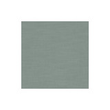 Amalfi Eau De Nil by Clarke And Clarke Designer Fabric CLARKE & CLARKE AMALFI COTTON - 77%;POLYESTER - 23% India HEAVY Horizontal: 0 and Vertical: 0 54 - Swanky Fabrics -