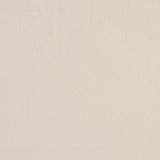 2922 Eggshell by Charlotte Designer Fabric Ring Book Page #4A 100% Woven Polyester Asia Exceeds 180,000 Wyzenbeek Rubs (Heavy Duty) No Repeat 54 Inches - Swanky Fabrics -