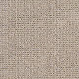 D1447 Ecru Texture by Charlotte Designer Fabric Vibrant Wovens 100% Woven Polypropylene Europe Exceeds 100,000 Wyzenbeek Rubs (Heavy Duty) No Repeat 54 Inches - Swanky Fabrics -