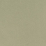 D1494 Mint by Charlotte Designer Fabric Eco Velvet 100% Polyester China Exceeds 200,000 Wyzenbeek Rubs (Heavy Duty) No Repeat 54 Inches - Swanky Fabrics -