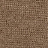D1370 Latte by Charlotte Designer Fabric Textured Plains 100% Woven Polyester China Exceeds 100,000 Wyzenbeek Rubs (Heavy Duty) No Repeat 54 Inches - Swanky Fabrics -