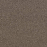 V507 Ash by Charlotte Designer Fabric Breathables IV 100% Breathable Polyurethane, 26oz. China Exceeds 250,000 Wyzenbeek Rubs (Heavy Duty) No Repeat 54 Inches - Swanky Fabrics - V507 Ash by Charlotte Designer Fabric Breathables IV 100% Breathable Polyurethane, 26oz. China Exceeds 250,000 Wyzenbeek Rubs (Heavy Duty) No Repeat 54 Inches - Swanky Fabrics -